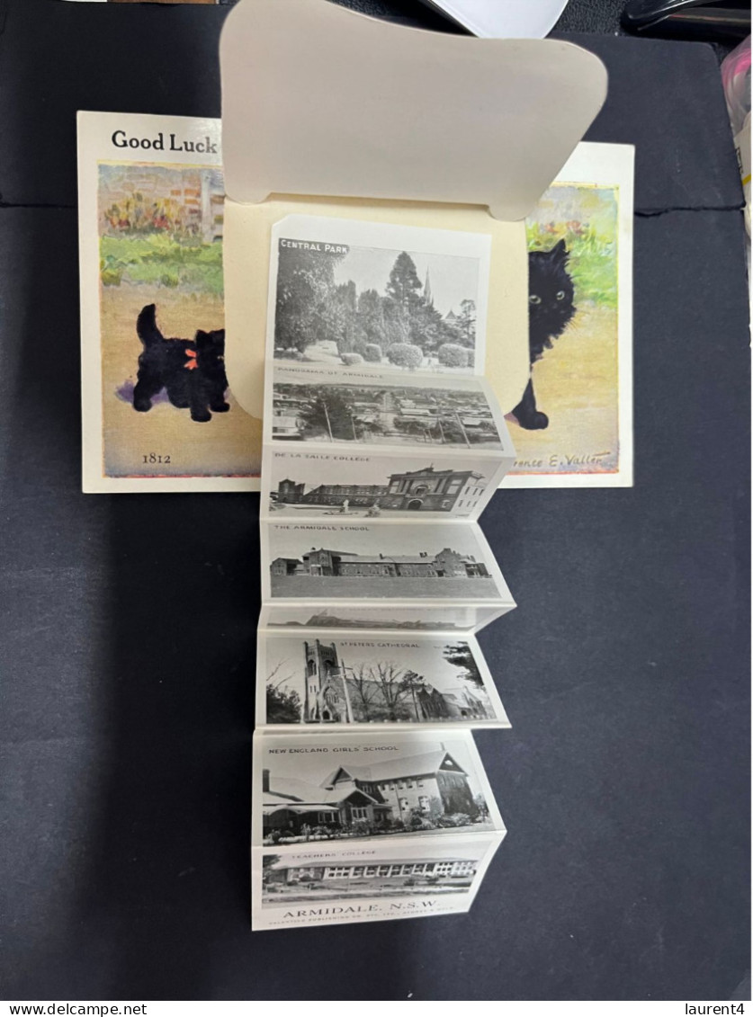 26-2-2-2024 (1 Y 16) Australia - Very Old (1940's ?) NSW - Armidale (dog) Novelty Postcard With "b/w Insert" - Sonstige & Ohne Zuordnung