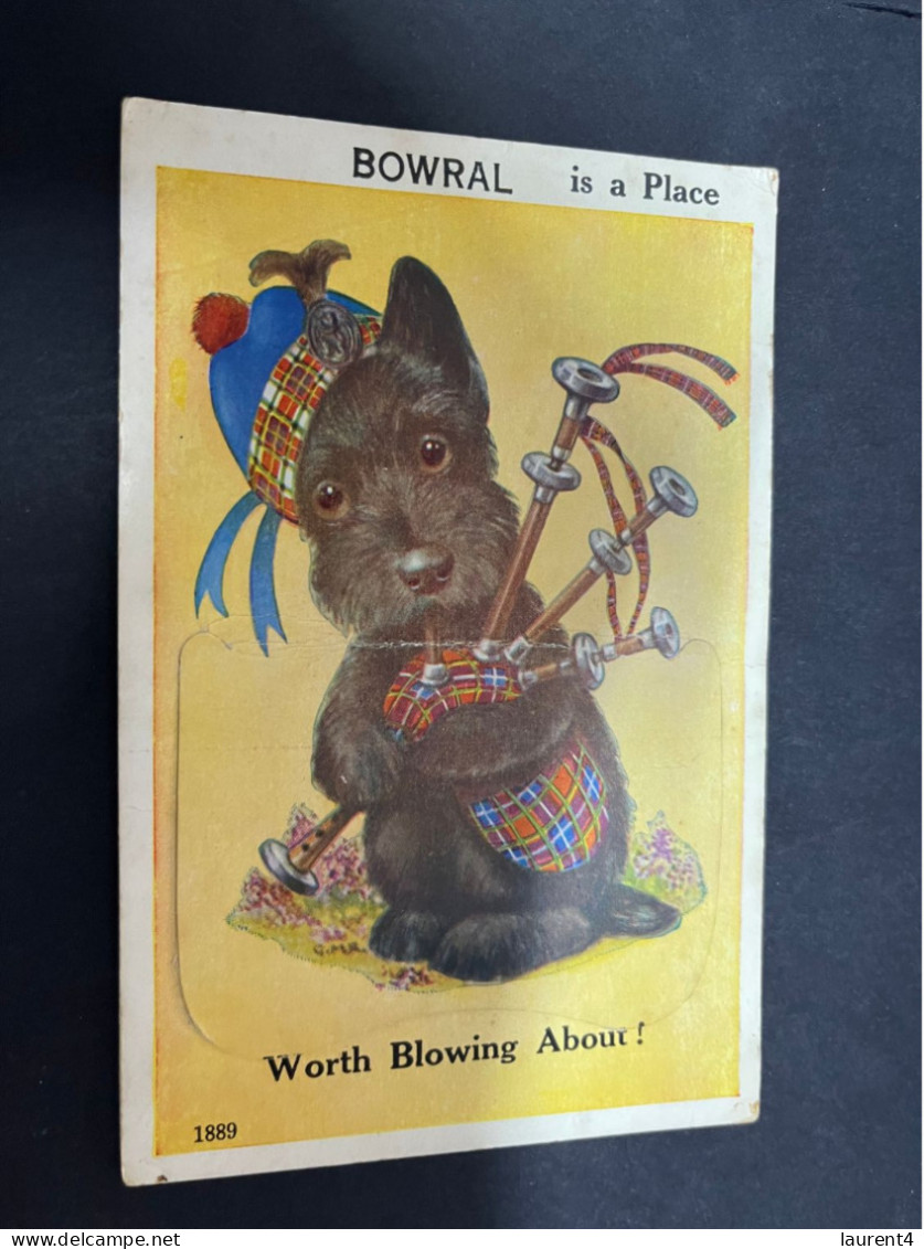 26-2-2-2024 (1 Y 16) Australia - Very Old (1940's ?) NSW - Bowral (dog) Novelty Postcard With "b/w Insert" - Sonstige & Ohne Zuordnung
