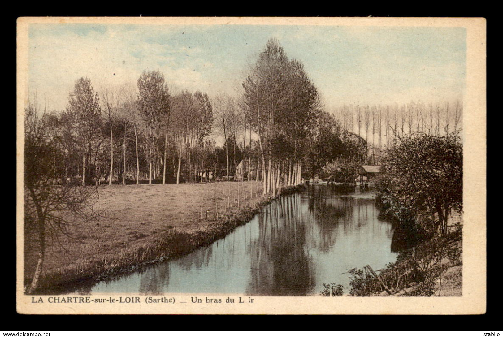 72 - LA CHARTRE-SUR-LE-LOIR - UN BRAS DU LOIR - Groenland