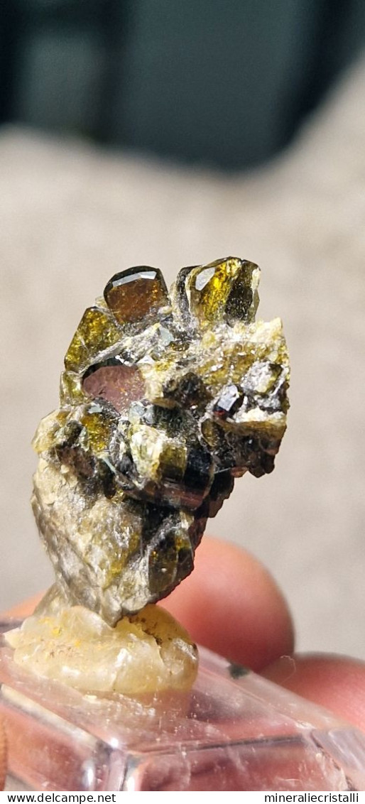 Vesuvianite   Cristalli Perfetti Lucenti Collezione 5,83  Gr 2,8 Cm Bellecombe AO Italia Vesuviana - Mineralien