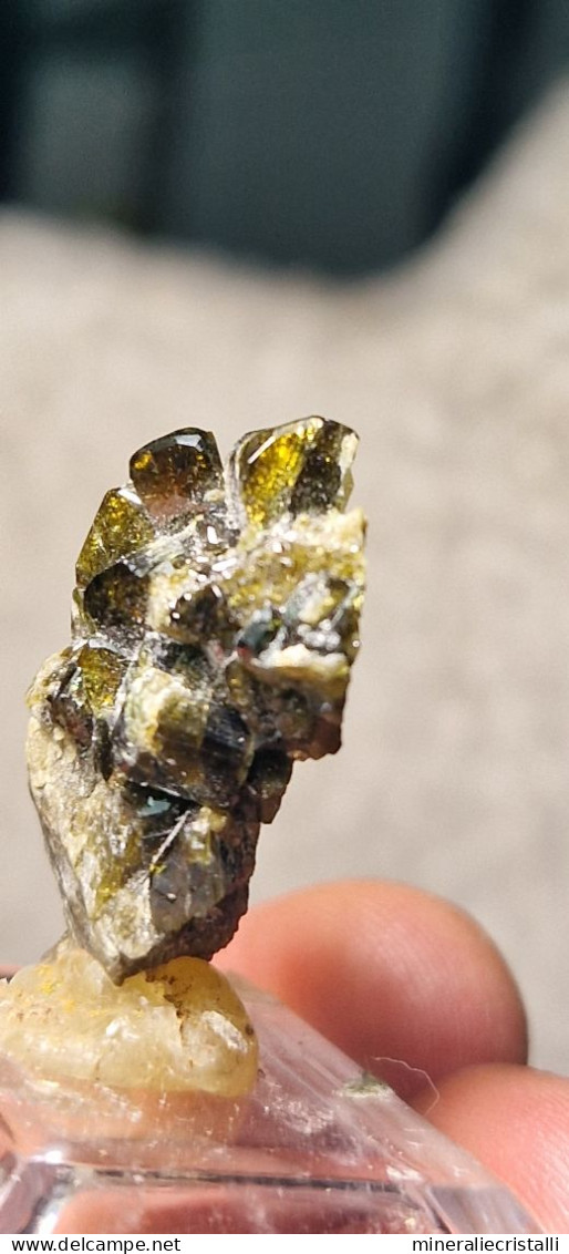 Vesuvianite   Cristalli Perfetti Lucenti Collezione 5,83  Gr 2,8 Cm Bellecombe AO Italia Vesuviana - Minéraux