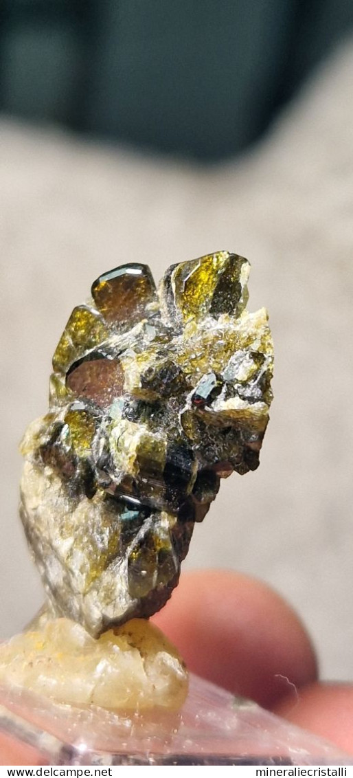 Vesuvianite   Cristalli Perfetti lucenti Collezione 5,83  gr 2,8 Cm Bellecombe AO Italia vesuviana