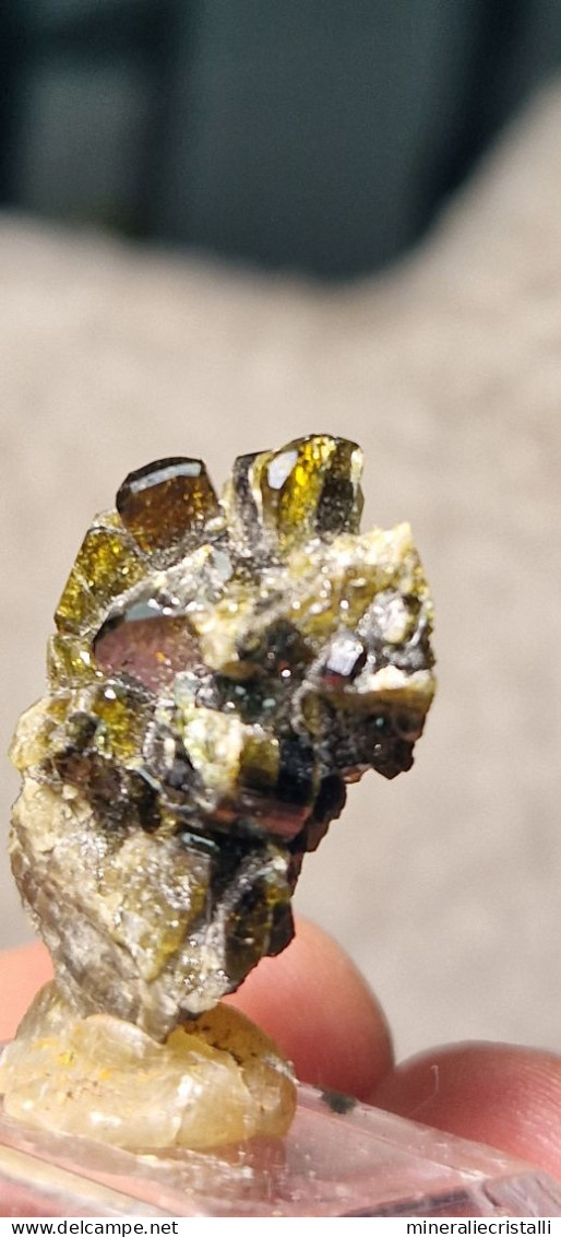 Vesuvianite   Cristalli Perfetti lucenti Collezione 5,83  gr 2,8 Cm Bellecombe AO Italia vesuviana