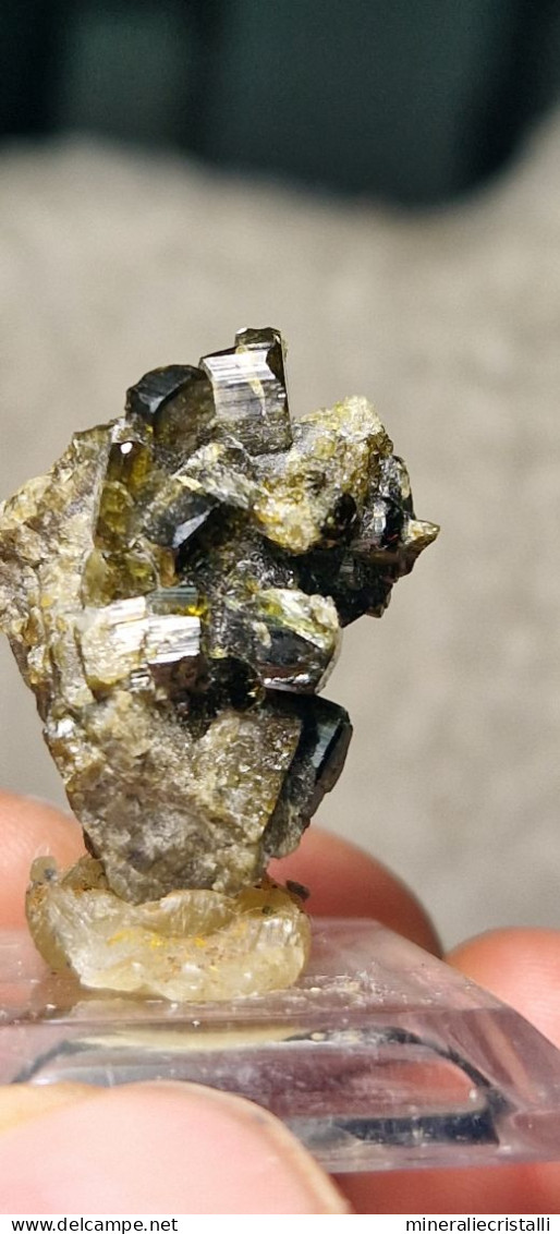 Vesuvianite   Cristalli Perfetti lucenti Collezione 5,83  gr 2,8 Cm Bellecombe AO Italia vesuviana