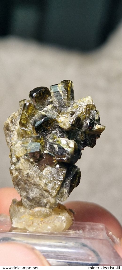 Vesuvianite   Cristalli Perfetti lucenti Collezione 5,83  gr 2,8 Cm Bellecombe AO Italia vesuviana