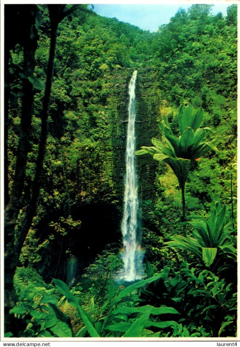 26-2-2024 (1 Y 20) USA - Hawaii - Akaka Waterfalls / Falls - Honolulu