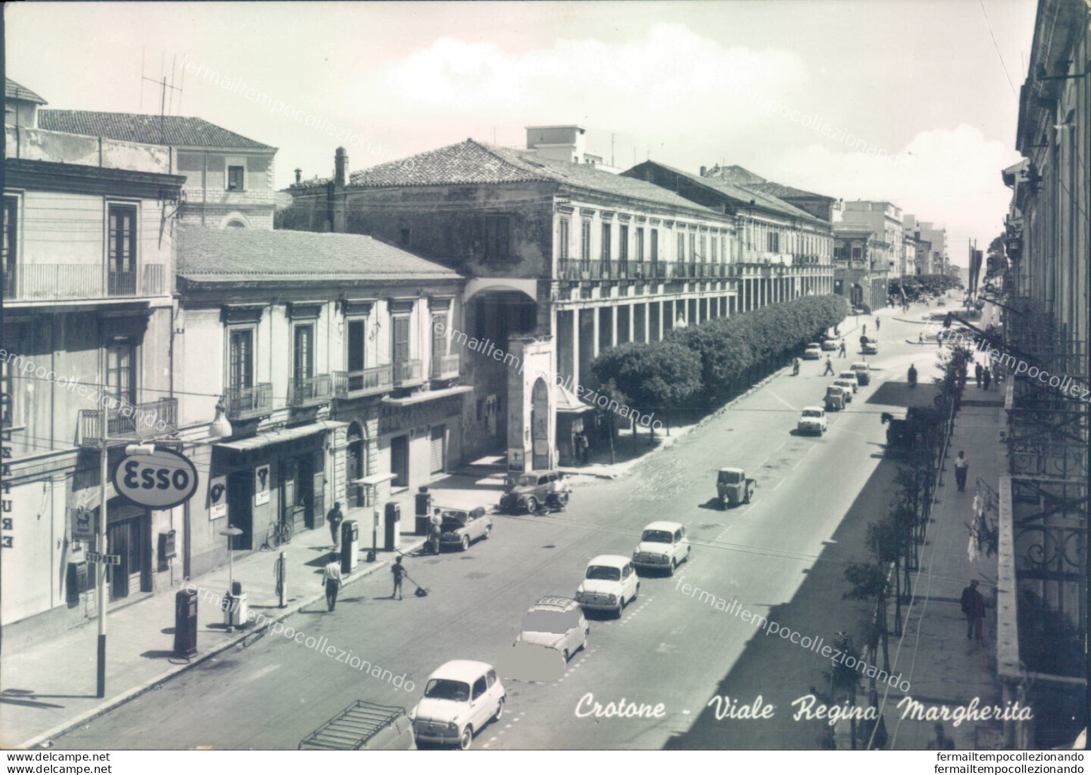 Ad493  Cartolina Crotone Viale Regina Margherita - Crotone