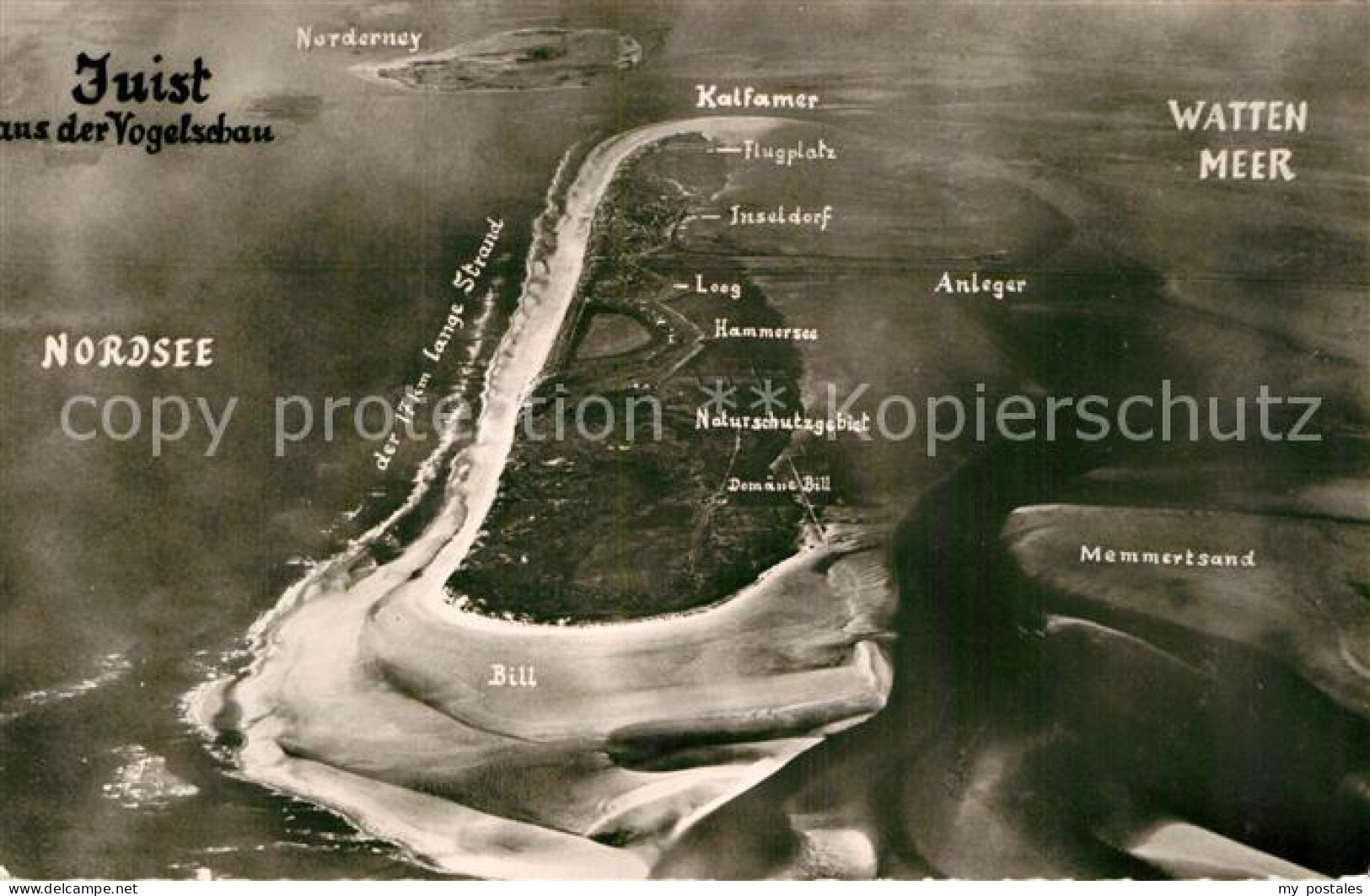 72978059 Juist Nordseebad Nordseeinsel Aus Der Vogelschau Nordsee Wattenmeer Jui - Juist