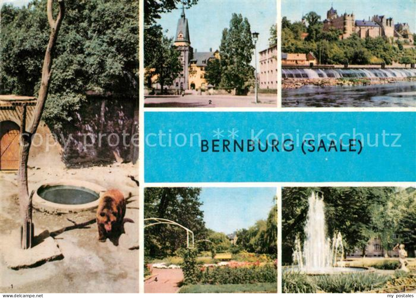 72972711 Bernburg Saale Baerenzwinger Am Schloss Kurhaus Rosengarten Marx Engels - Bernburg (Saale)