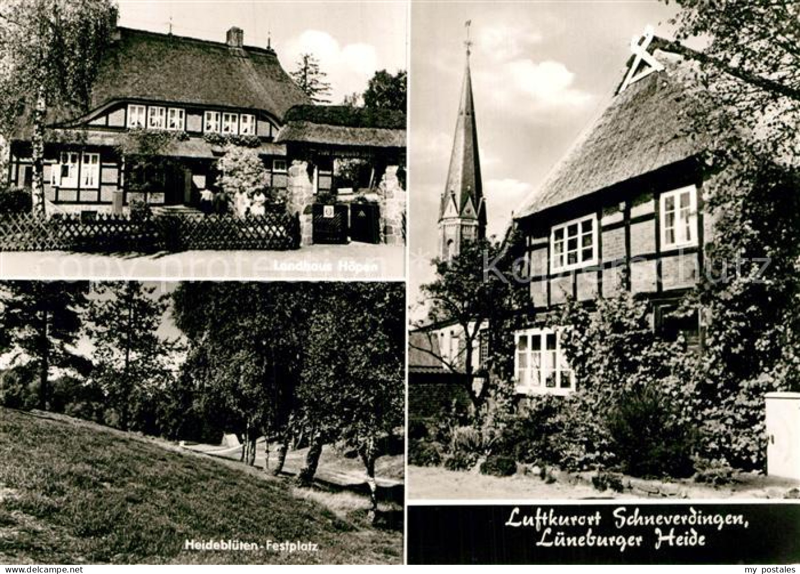 72969605 Schneverdingen Landhaus Hoepen Schneverdingen - Schneverdingen