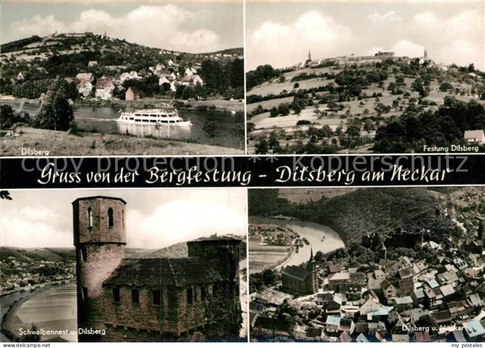 72967656 Dilsberg Festung Dilsberg Schwalbennest  Dilsberg - Neckargemünd