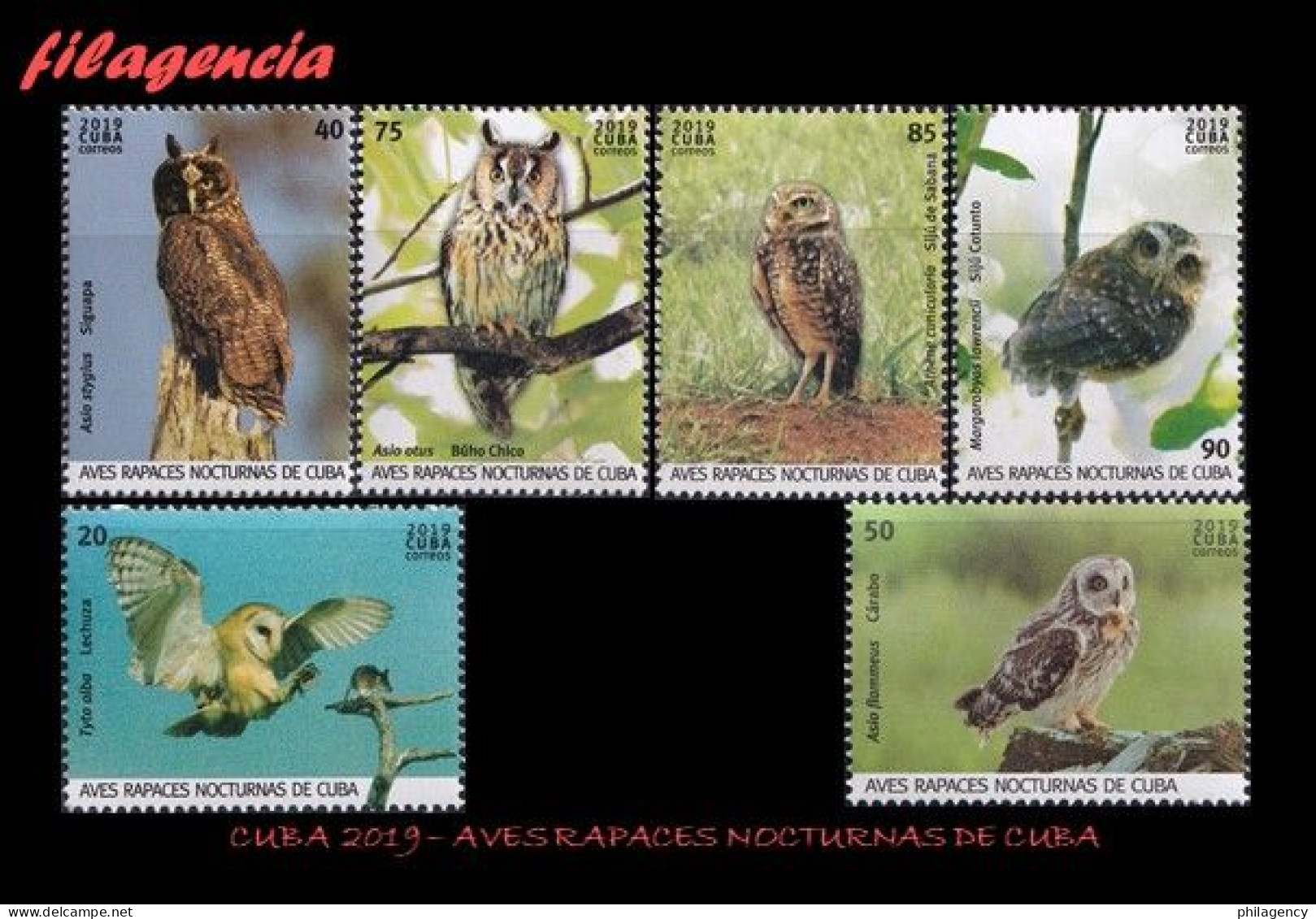 CUBA MINT. 2019-22 AVES RAPACES NOCTURNAS CUBANAS - Ungebraucht