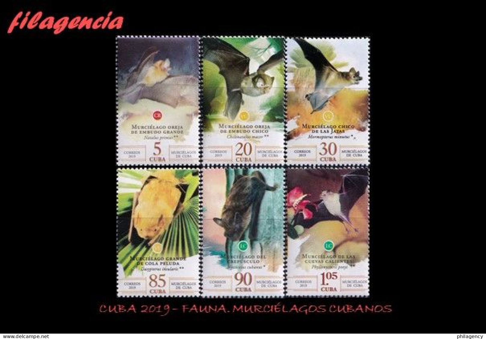 CUBA MINT. 2019-35 FAUNA. MURCIÉLAGOS DE CUBA - Ongebruikt