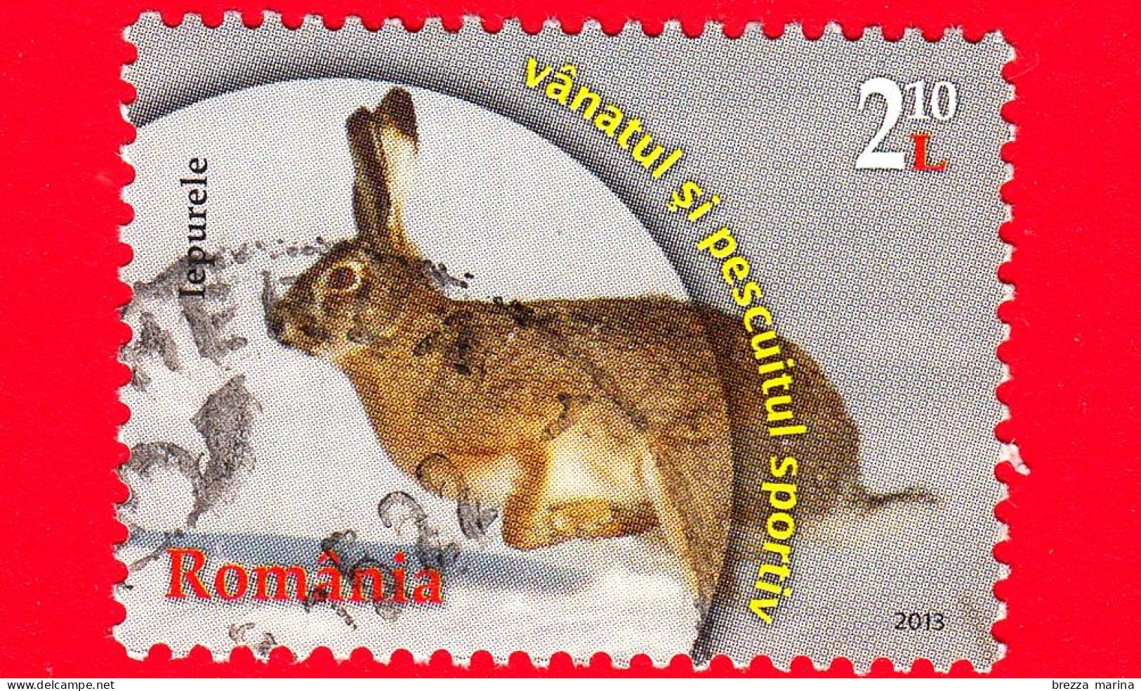 ROMANIA - Usato - 2013 - Lepre Europea - Hare - Caccia - Hunting - 2,10 L - Oblitérés