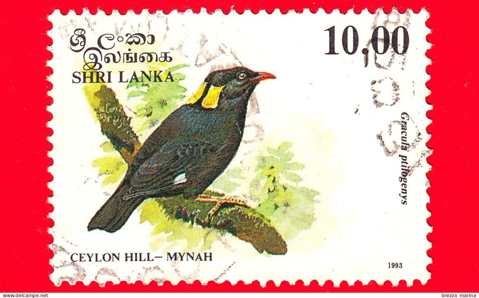 SRI LANKA - Usato - 1993 - Uccelli - Cornacchia - Bird - Gracula Ptilogenys - 10.00 - Sri Lanka (Ceylan) (1948-...)