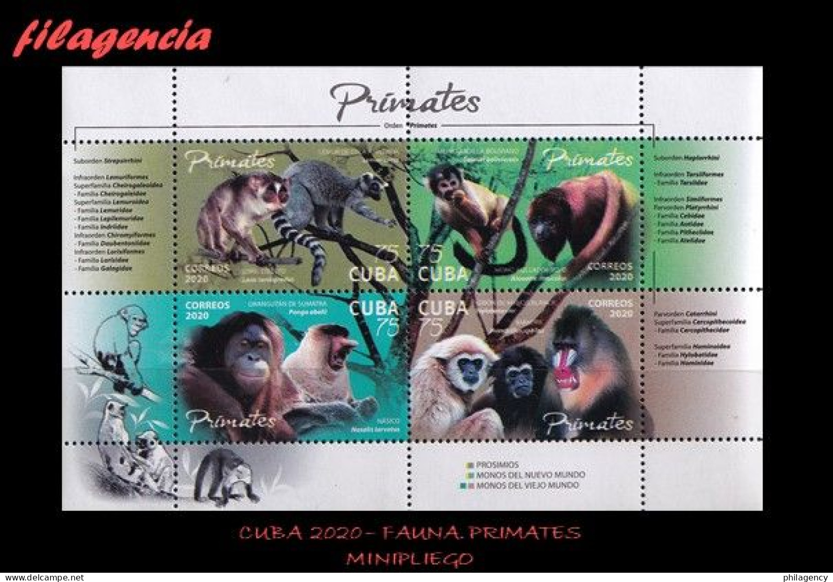 CUBA MINT. 2020-06 FAUNA. PRIMATES. HOJA BLOQUE - Neufs