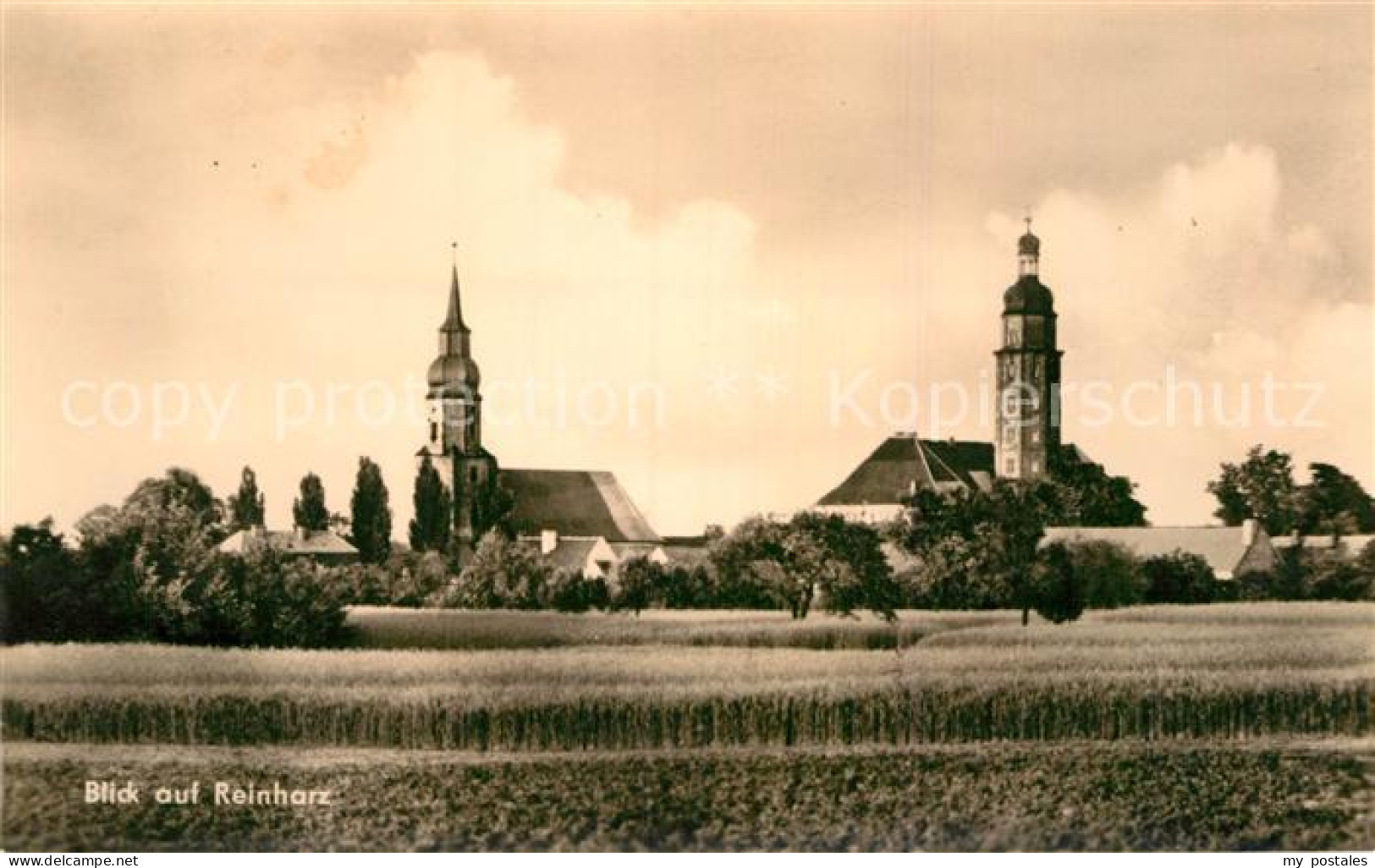 72966559 Reinharz Duebener Heide Blick Ueber Die Feld Ortsansicht Mit Kirche Rei - Bad Schmiedeberg