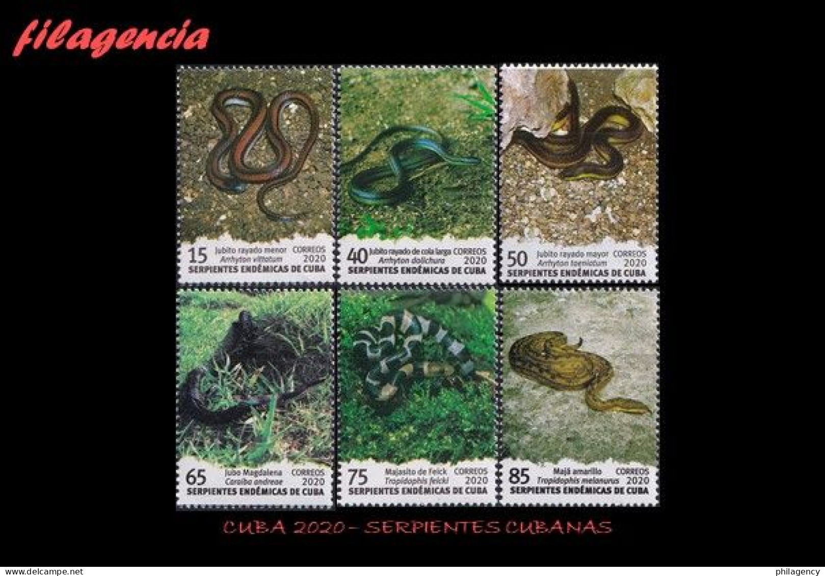 CUBA MINT. 2020-18 FAUNA. SERPIENTES ENDÉMICAS CUBANAS - Nuevos