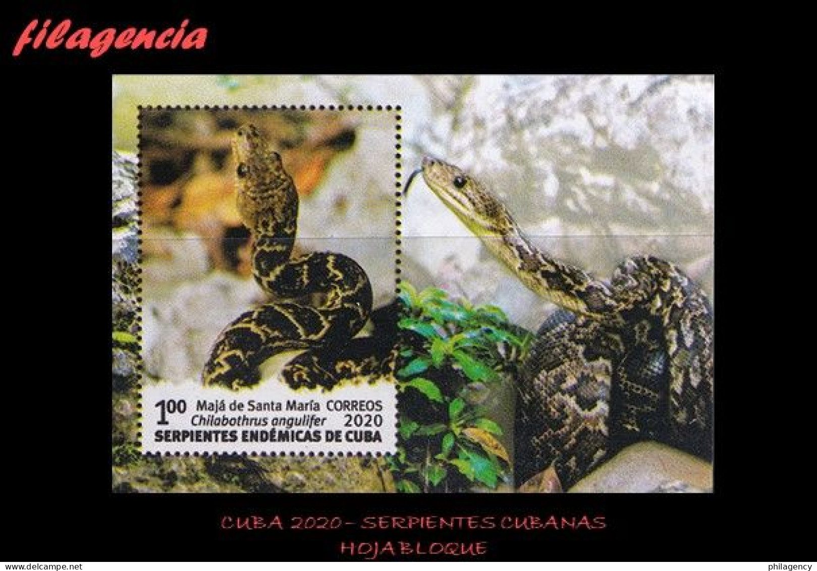 CUBA MINT. 2020-18 FAUNA. SERPIENTES ENDÉMICAS CUBANAS. HOJA BLOQUE - Ongebruikt