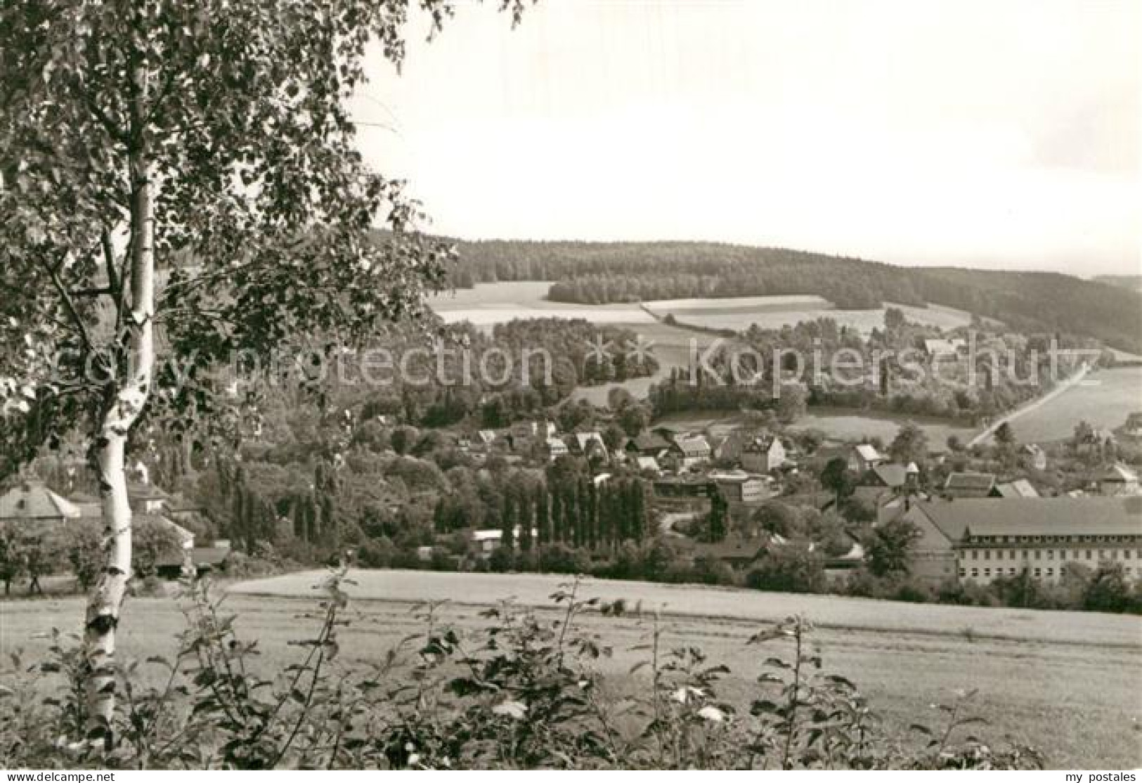 72965766 Schwarzenberg Erzgebirge Wohngebiet Wildenau Schwarzenberg - Schwarzenberg (Erzgeb.)