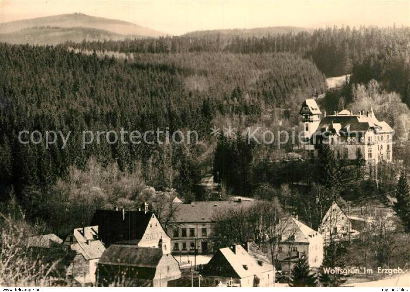 72964883 Wolfsgruen Gasthof Saechsischer Hof Wolfsgruen - Eibenstock