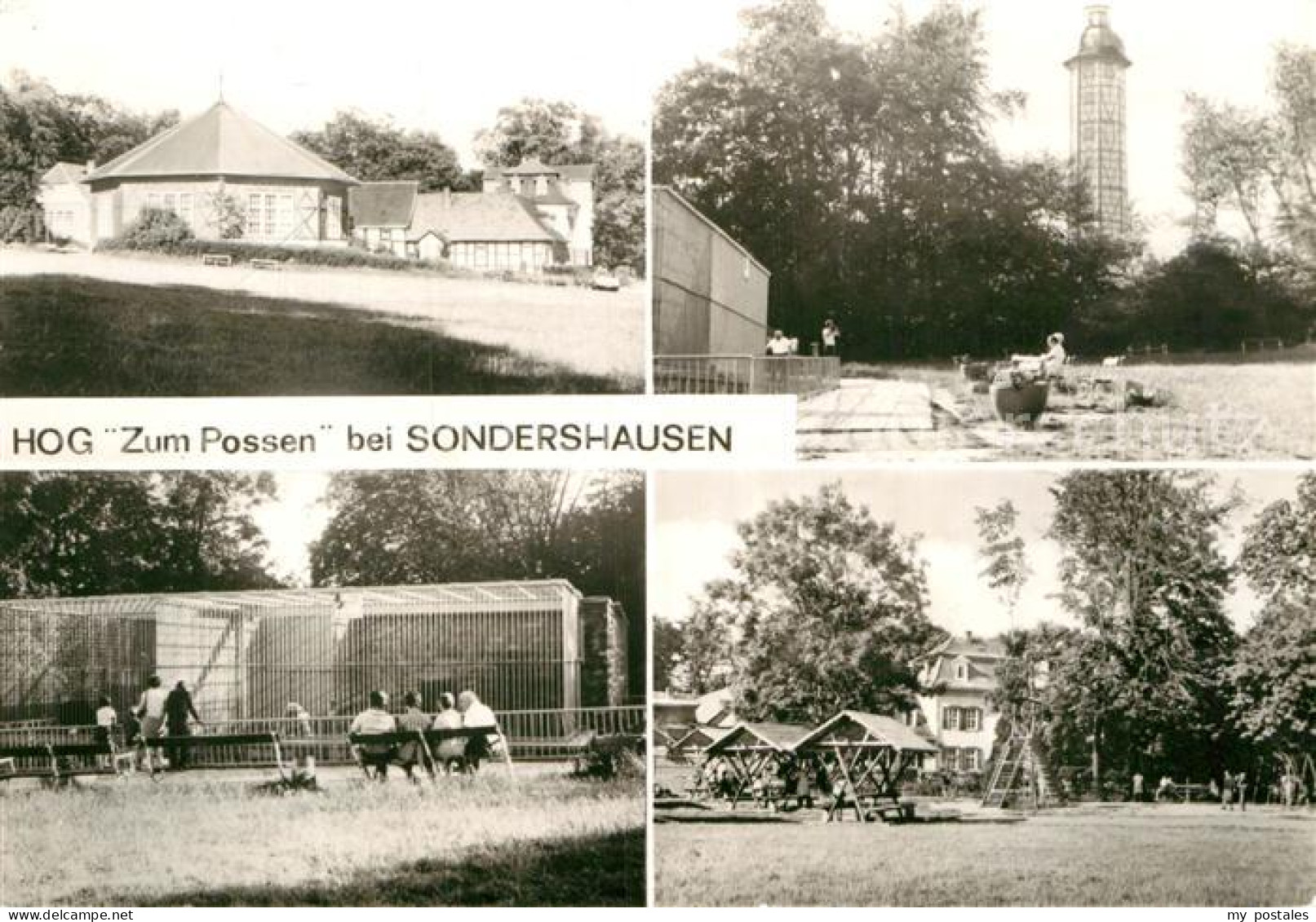 72964863 Sondershausen Thueringen HOG Zum Possen Ringkaffee Aussichtsturm Baeren - Sondershausen