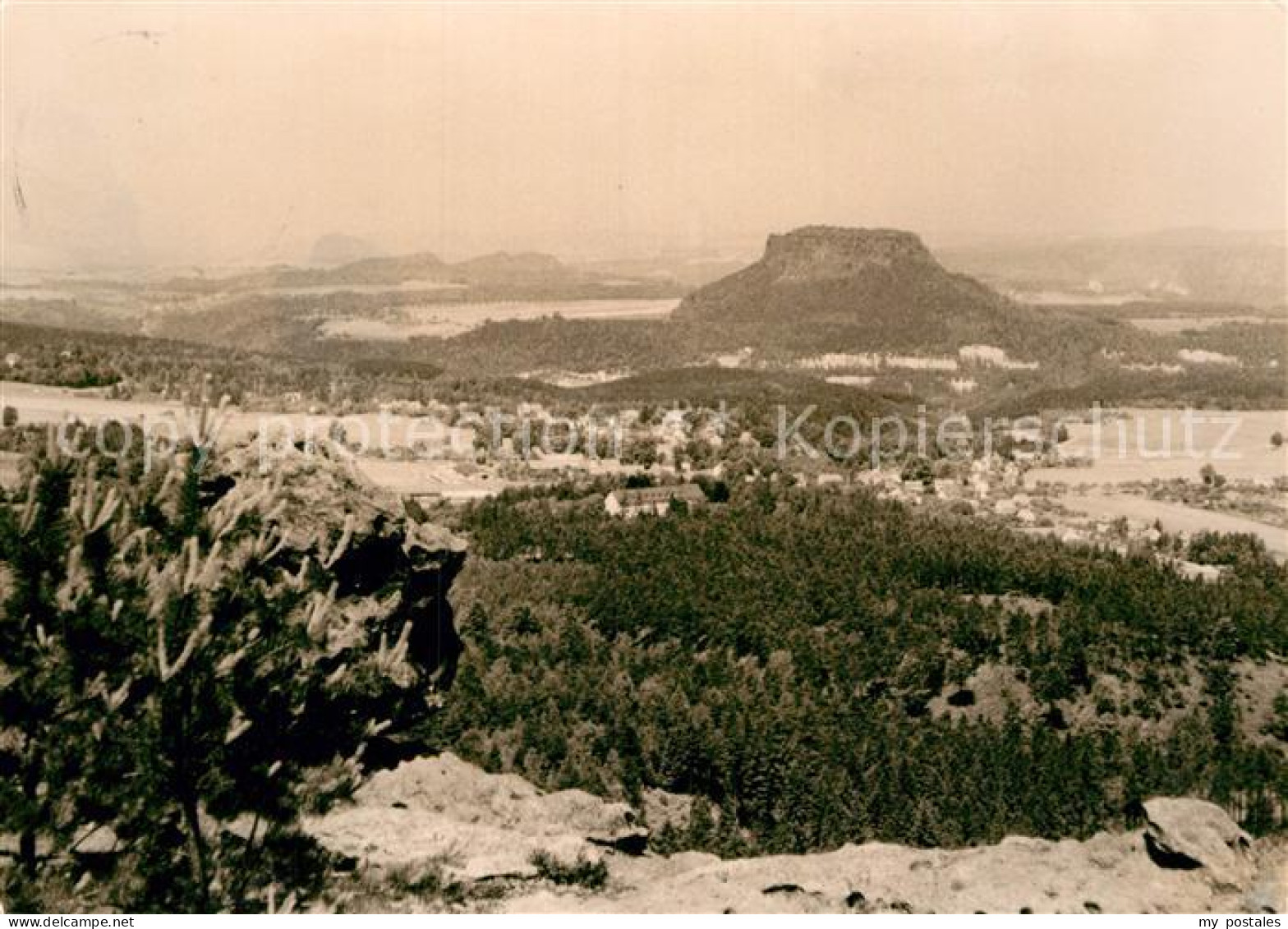 72964787 Gohrisch Lilienstein Gohrisch - Gohrisch