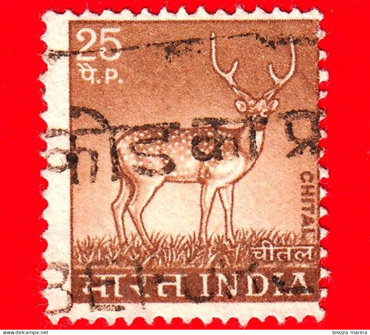 INDIA - 1974 - USATO - Animali - Cervo - Axis Deer - Chital - 25 - Gebraucht