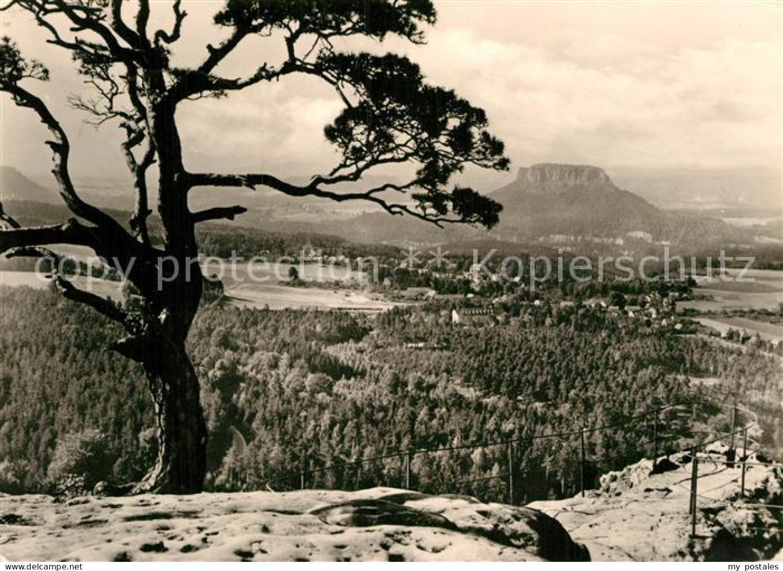 72963984 Gohrisch Blick Vom Papststein Auf Lilienstein Gohrisch - Gohrisch