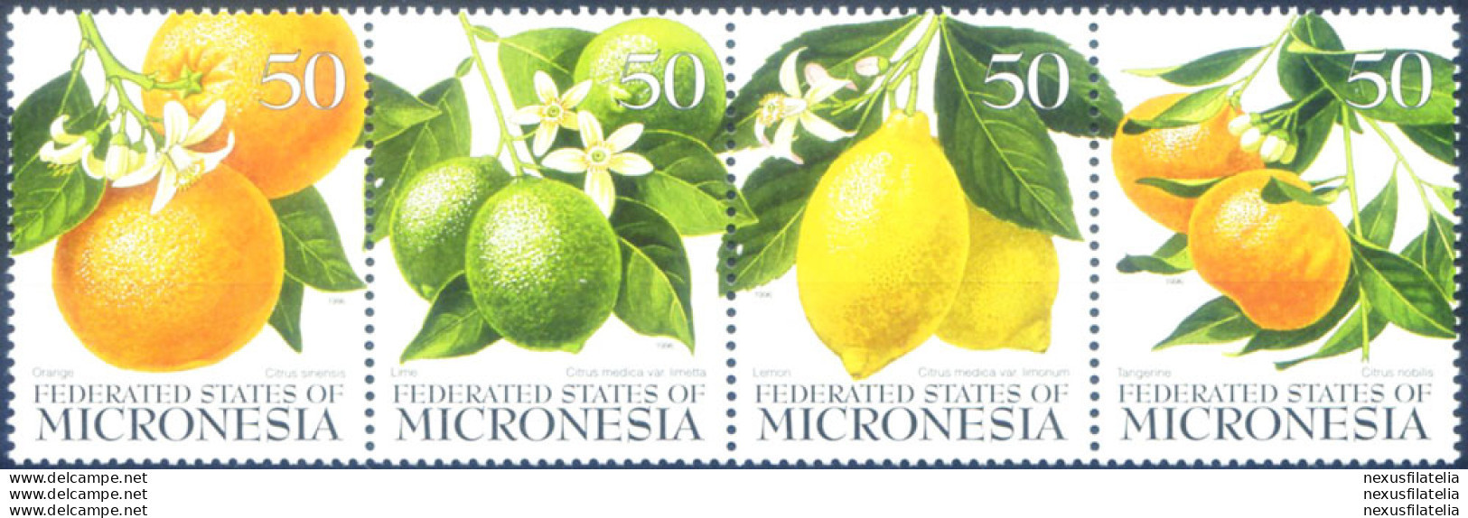 Frutta 1996. - Micronésie