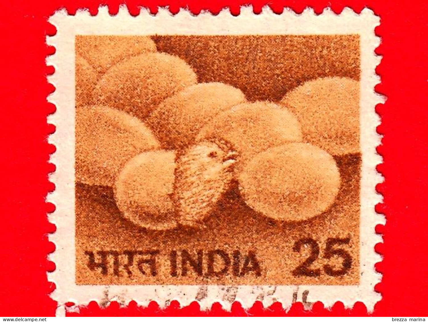 INDIA - Usato - 1979 - Allevamento - Agricoltura - Uova - Pulcini - Eggs - 25 P - Gebraucht