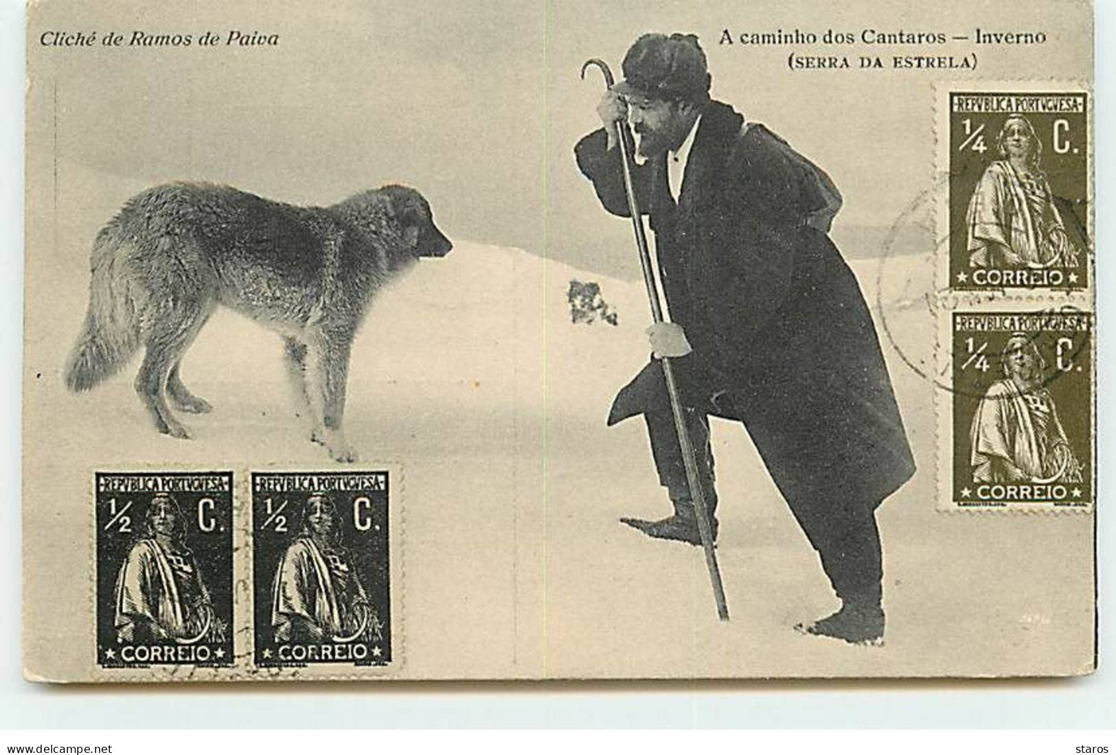 Portugal - A Caminho Dos Cantaros - Inverno (Serra Da Estrela) - Guarda