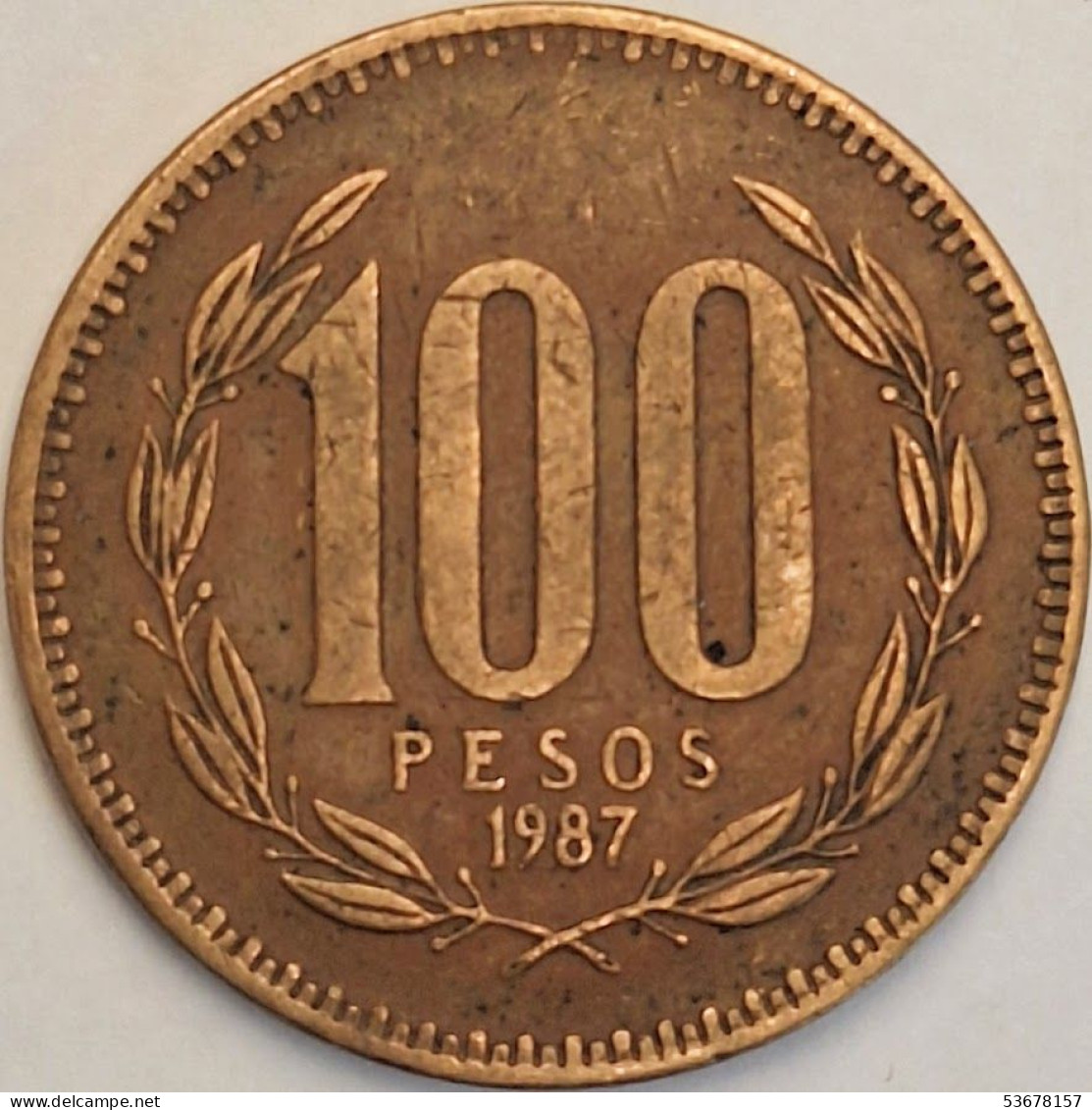 Chile - 100 Pesos 1987, KM# 226.1 (#3453) - Cile