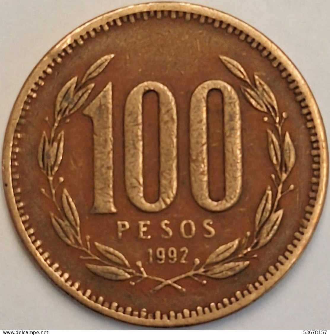 Chile - 100 Pesos 1992, KM# 226.2 (#3454) - Cile