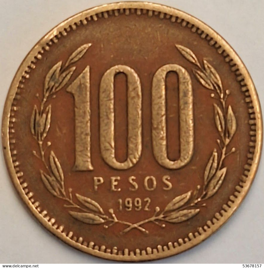 Chile - 100 Pesos 1992, KM# 226.2 (#3454) - Chile