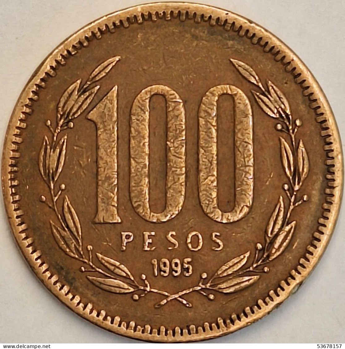 Chile - 100 Pesos 1995, KM# 226.2 (#3455) - Cile