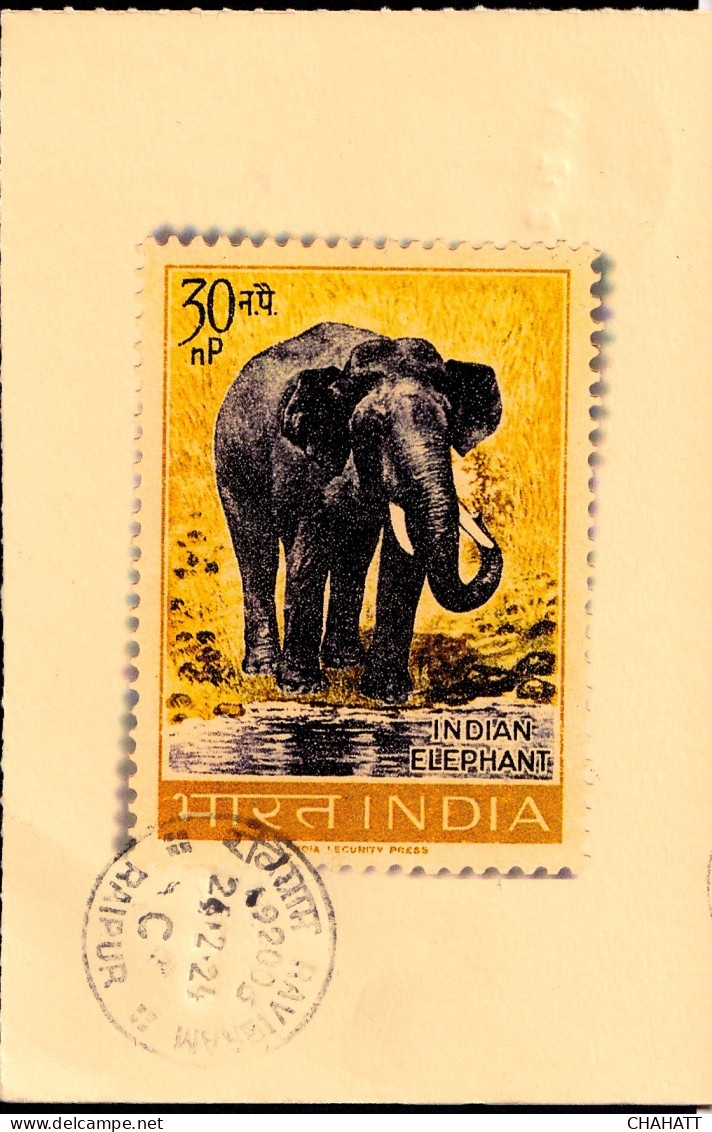 INDIA'S WILDLIFE- ASIATIC ELEPHANT - POSTCARD- POSTED ON UNIQUE DATE 24.02.2024-INDIA-BX4-34 - Olifanten