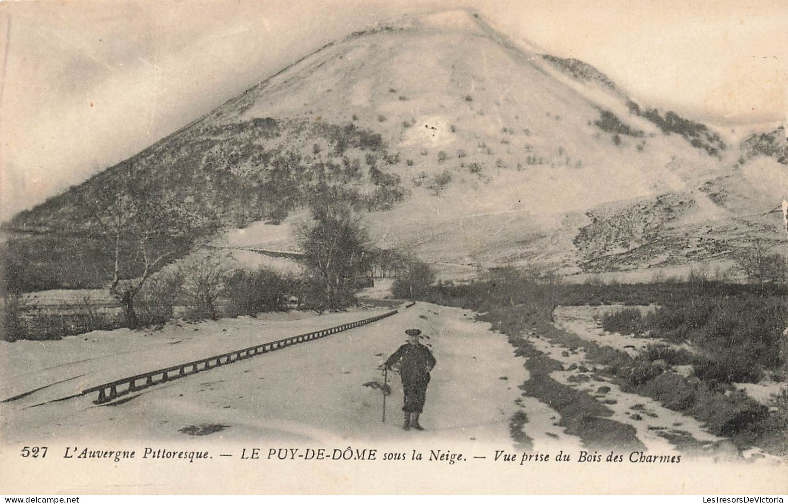 FRANCE - Auvergne - Sous La Neige - Vue Prise Du Bois Des Charmes - Carte Postale Ancienne - Auvergne Types D'Auvergne