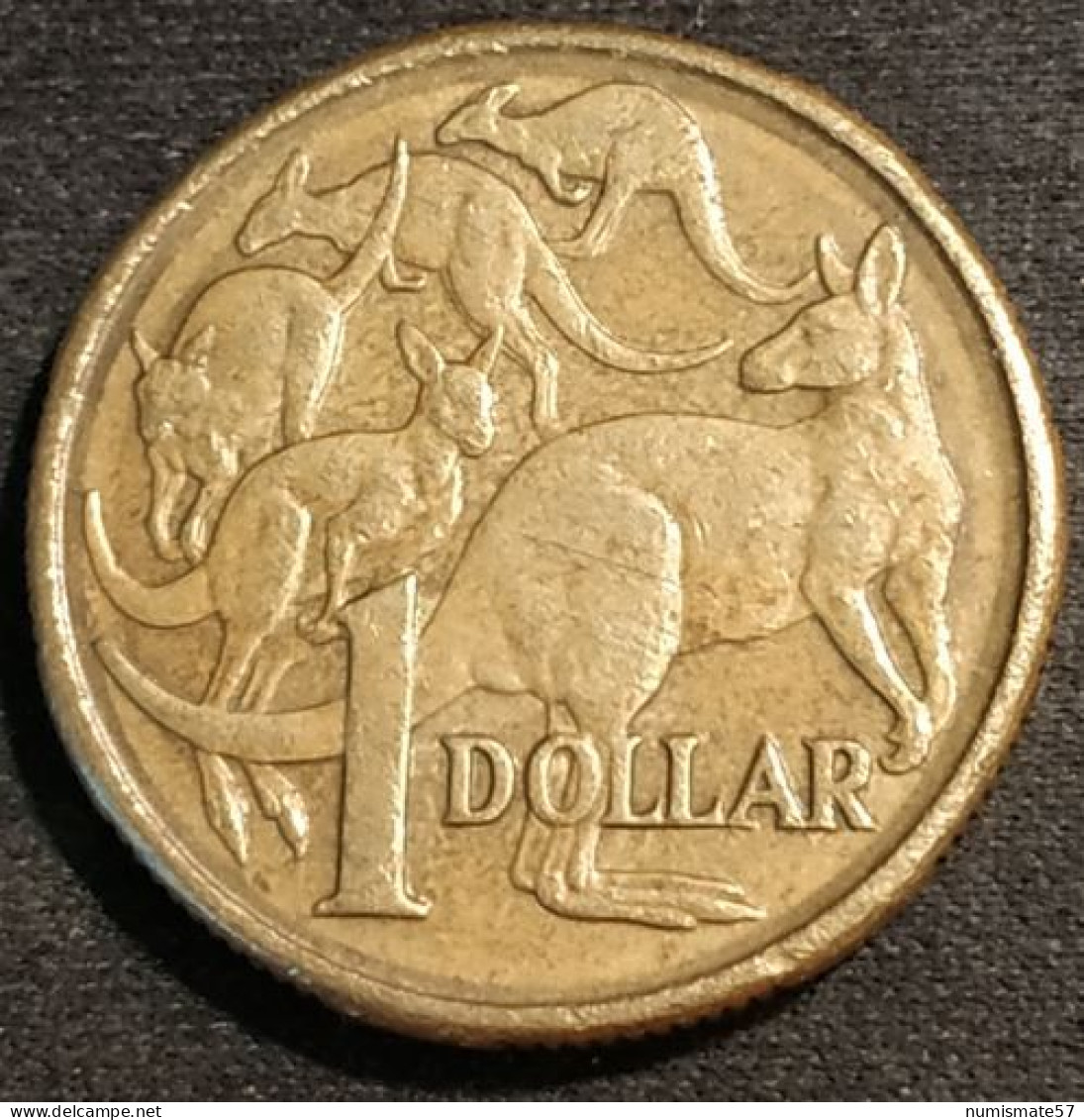 AUSTRALIE - AUSTRALIA - 1 DOLLAR 1984 - Elizabeth II - 2e Effigie - KM 77 - Dollar