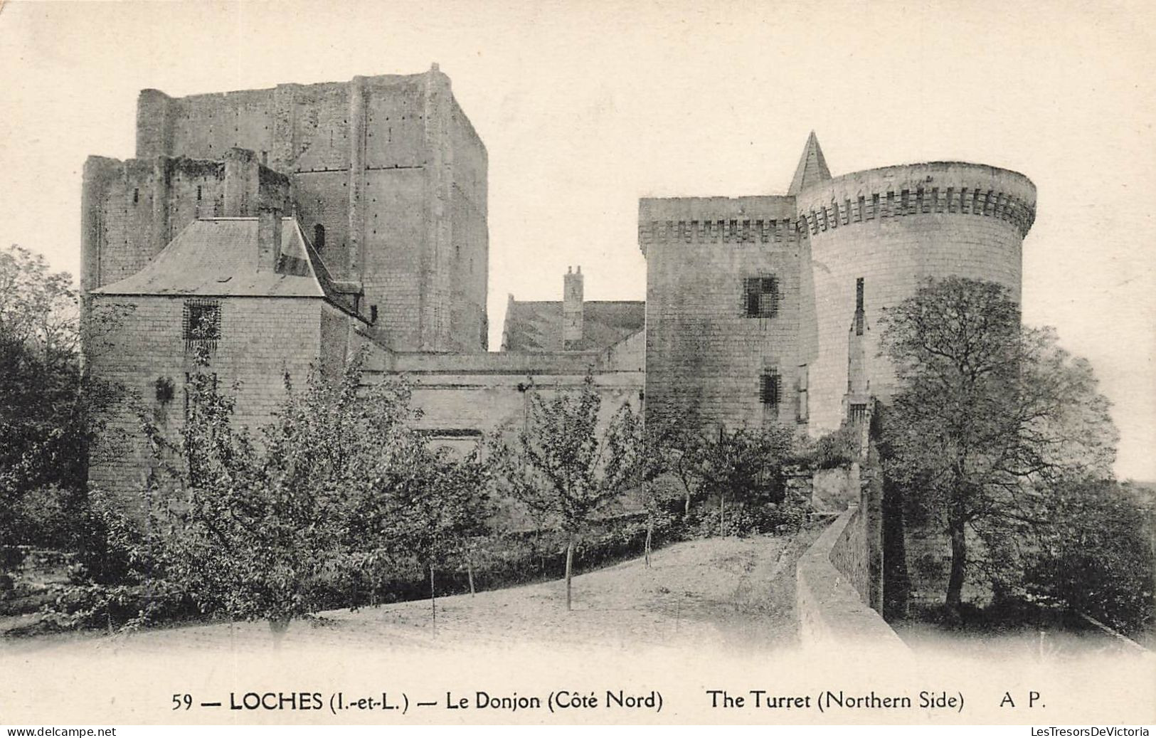 FRANCE - Loches - Le Donjon - Côté Nord - Carte Postale Ancienne - Loches