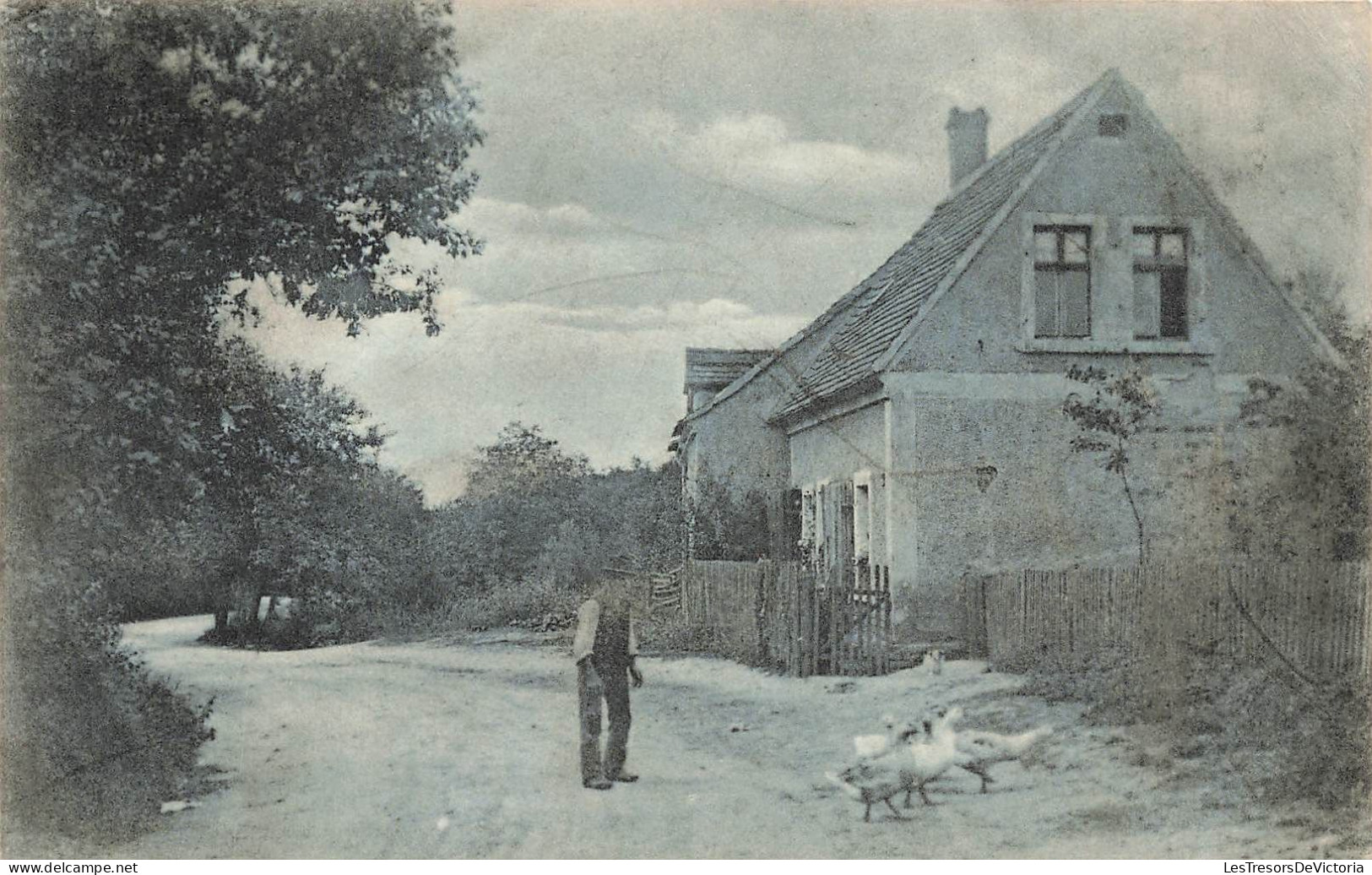 METIERS - Un Fermier Avec Ses Oies - Carte Postale Ancienne - Andere & Zonder Classificatie