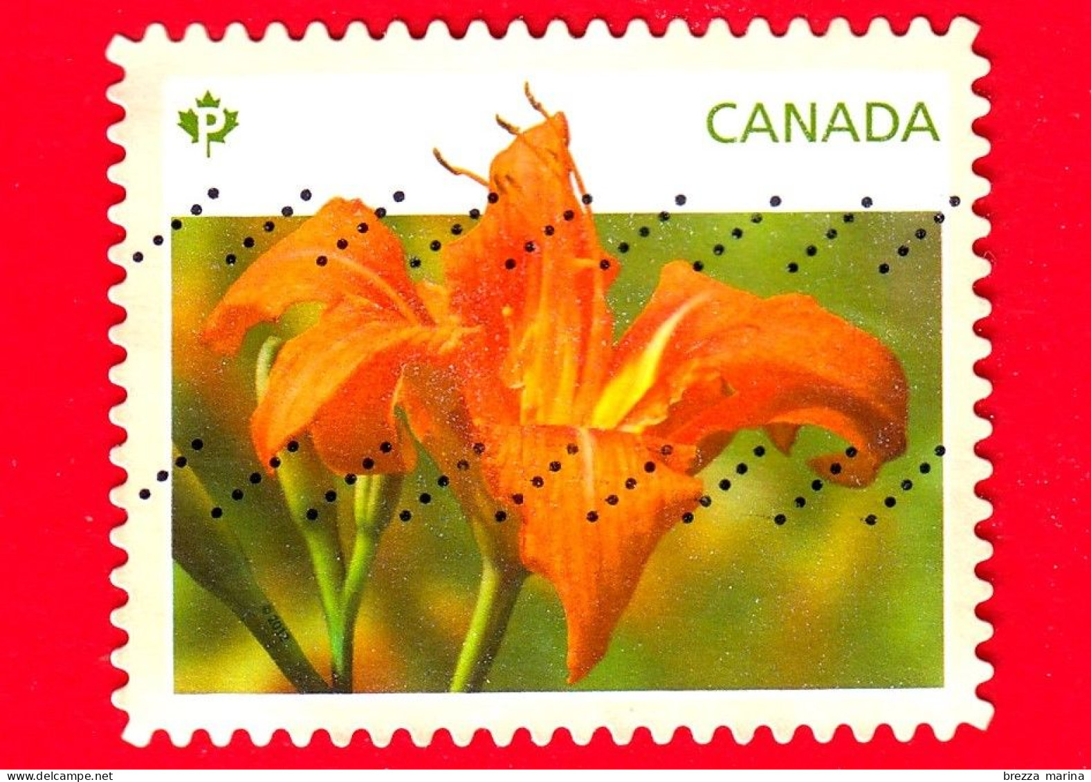 CANADA - Usato - 2012 - Fiori - Belle Di Giorno - Gigli - Daylilies - P - Used Stamps