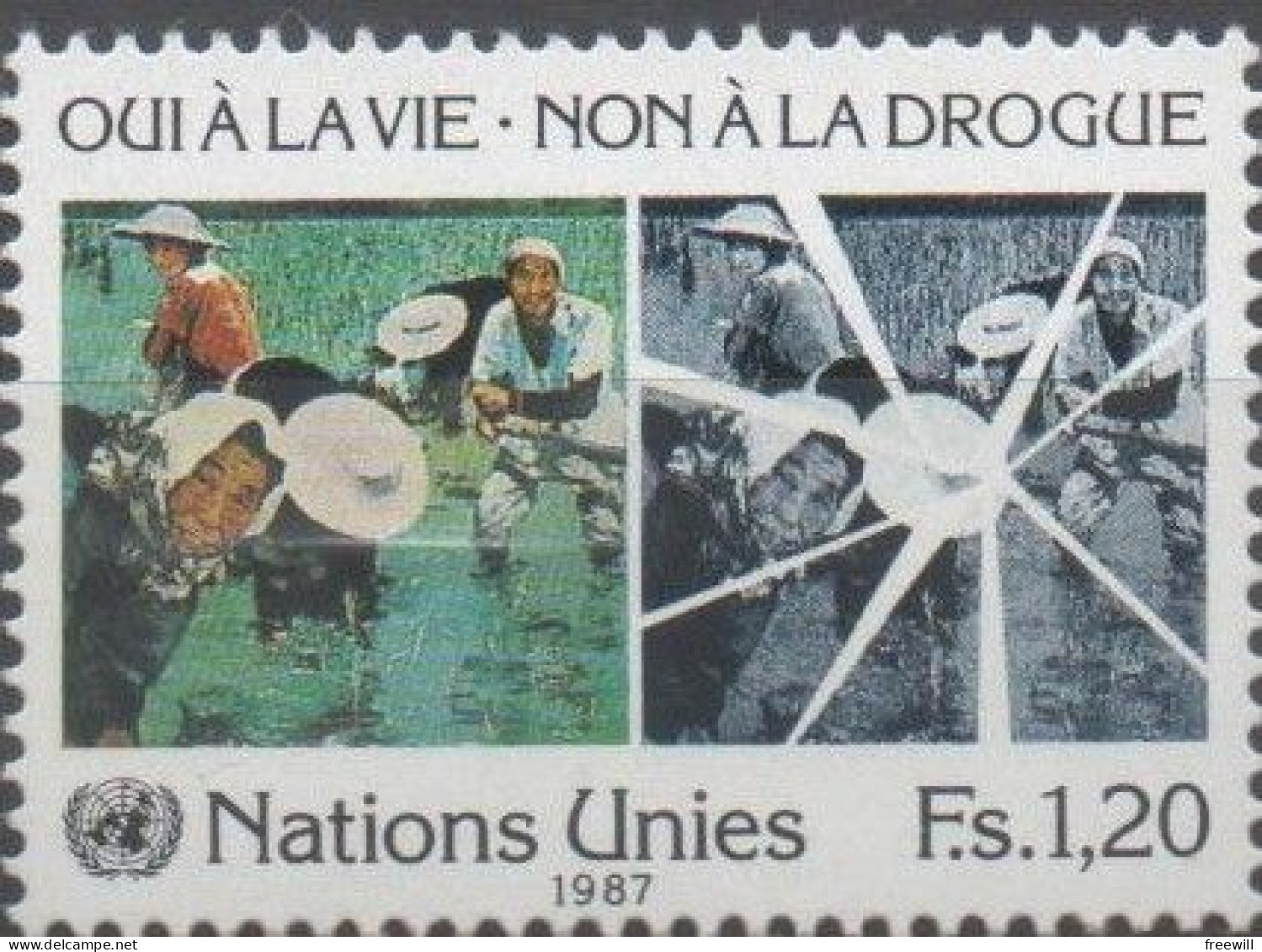 Nations Unies , United Nations Lutte Contre La Drogue    1987 XXX - Neufs