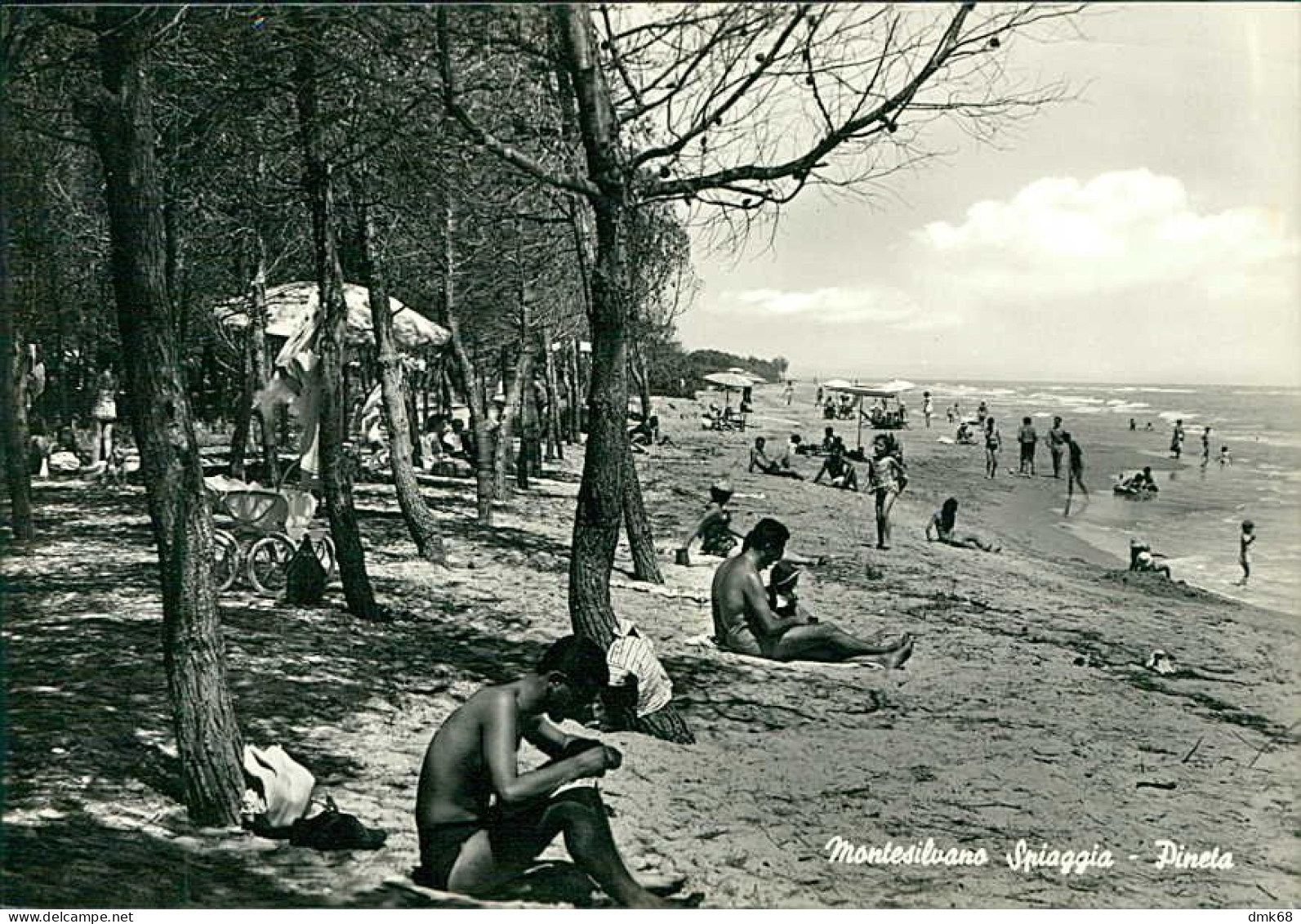 MONTESILVANO SPIAGGIA  ( PESCARA ) PINETA - EDIZIONE CARTOLERIA ADRIATICA - SPEDITA 1962 (19708) - Pescara