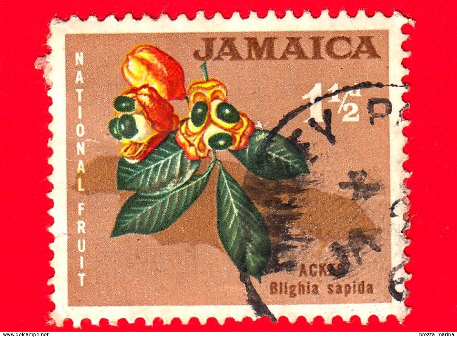 GIAMAICA - Jamaica - 1964 - Frutta - National Fruit - Ackee (Blighia Sapida) - 1.50 - Jamaica (1962-...)