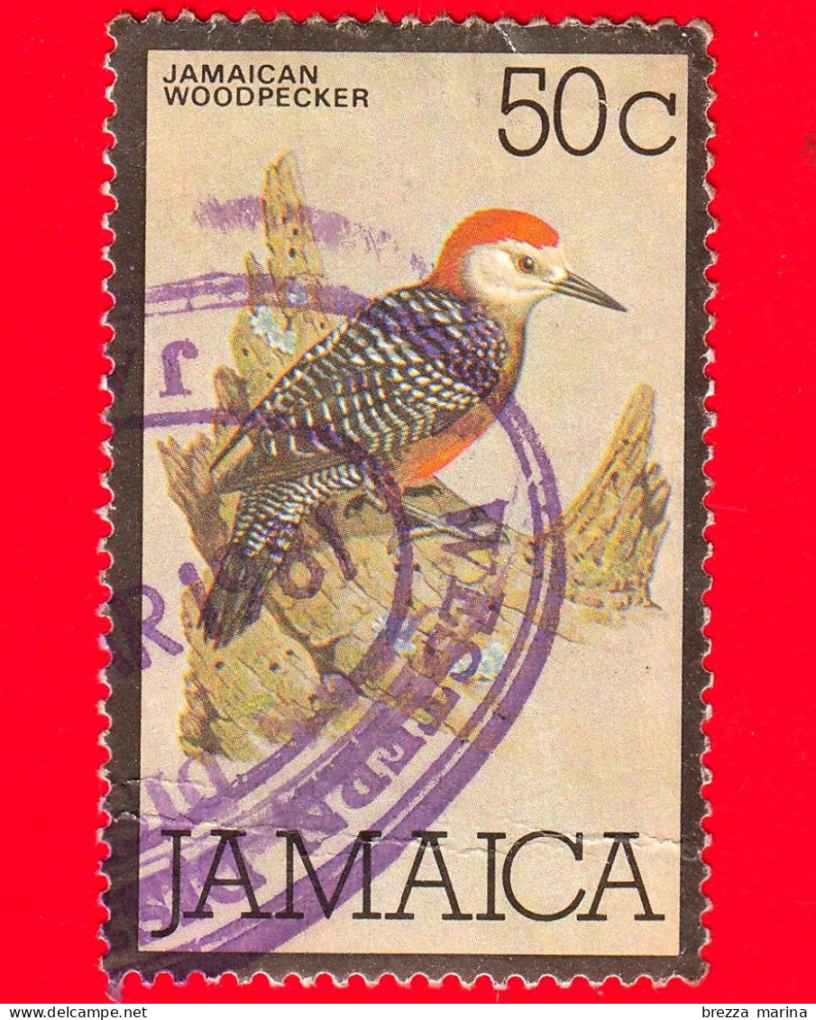 GIAMAICA - Jamaica - 1980 - Uccelli - Picchio Giamaicano (Melanerpes Radiolatus) - Woodpecker - 50 - Jamaica (1962-...)