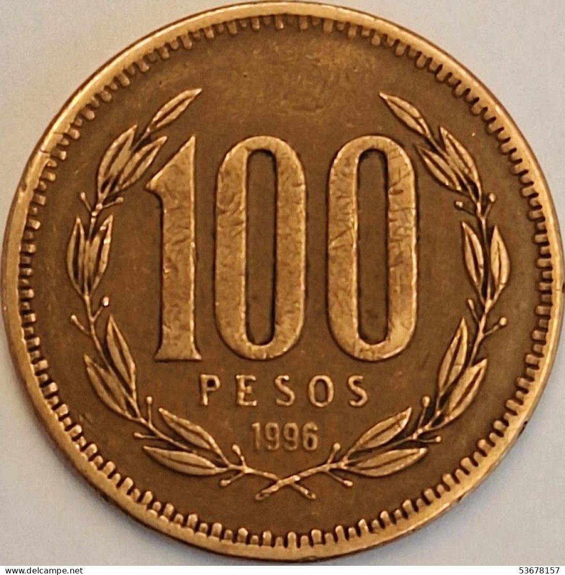 Chile - 100 Pesos 1996, KM# 226.2 (#3456) - Chile