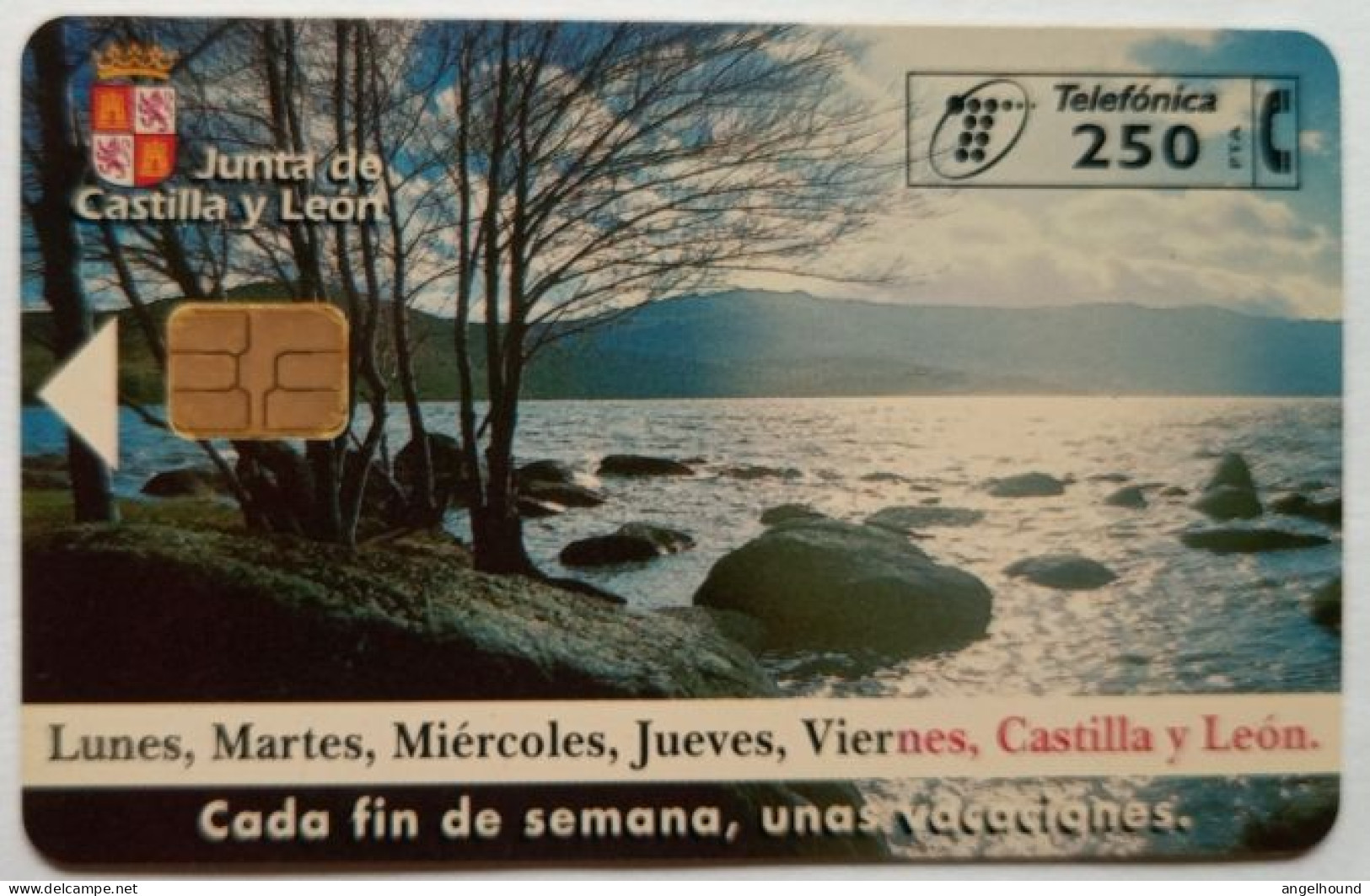 Spain 250 Pta. Chip Card -  Castilla Y Leon ( Lago ) - Emissions Basiques
