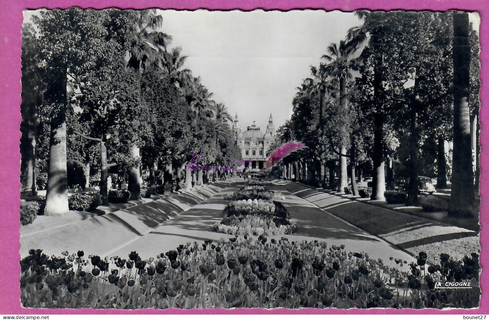 CPSM MONACO - MONTE CARLO - Les Jardins Et Le Casino écrite - Jardín Exótico