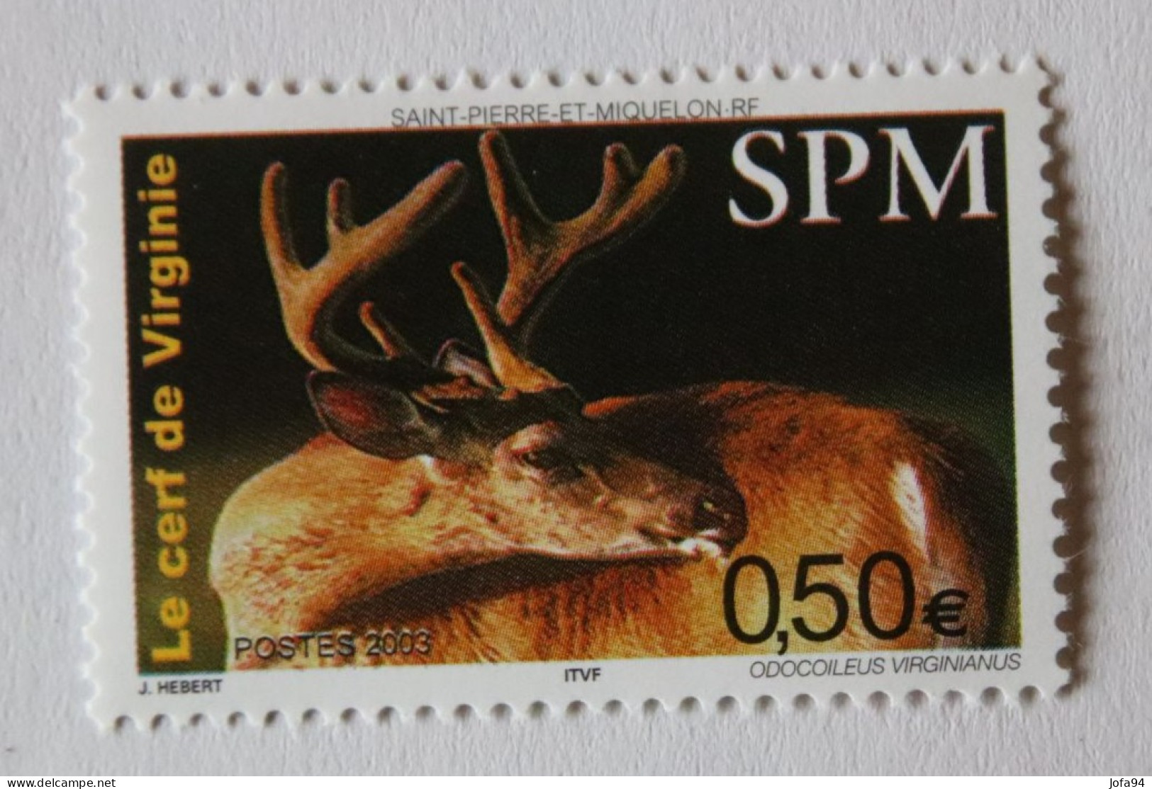 SPM 2003 Faune Le Cerf De Virginie   YT 799  Neuf - Unused Stamps